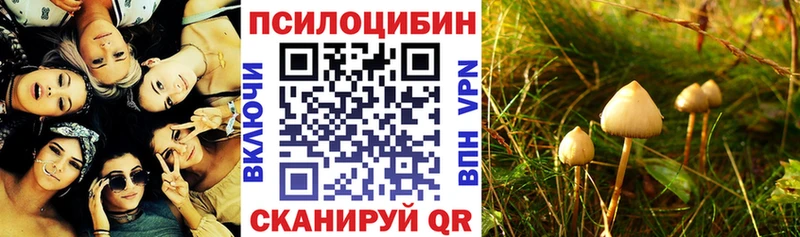 где купить наркоту  Мураши  Галлюциногенные грибы мухоморы 